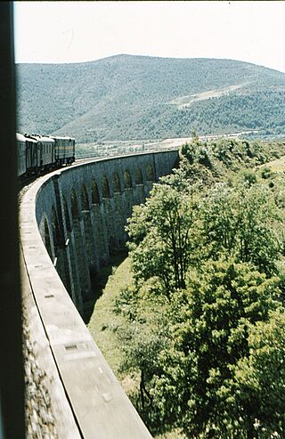 Canfranero.jpg