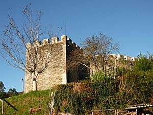 Archivo:Castelo de Moeche 5