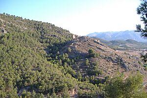 Archivo:Castillo de Pliego (Murcia)