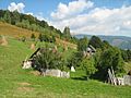 Casute pe culmea Runculet - panoramio