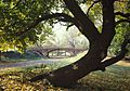 Central Park New York City New York 23 cropped
