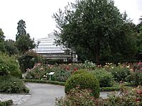 Archivo:Central Rose Garden towards Cuningham House