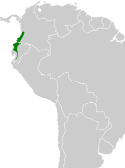 Distribución geográfica del paragüero corbatudo.