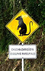 Archivo:Chucha crossing warning sign