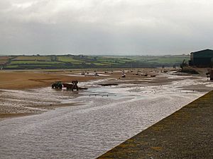 Archivo:Collecting sand at low tide - geograph.org.uk - 1013990