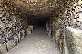 Dolmen de Toriñuelo - Corredor.jpg