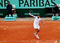 Flickr - Carine06 - Wawrinka backhand