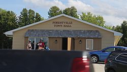 Forestville Wisconsin town hall.jpg