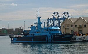 Archivo:Fulmar