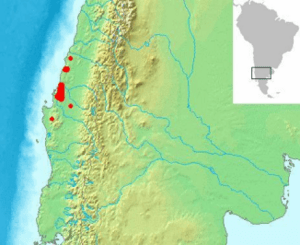 Archivo:Gomortega keule range map-2