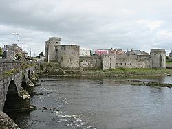 Archivo:John Castle Limerick-seabhcan