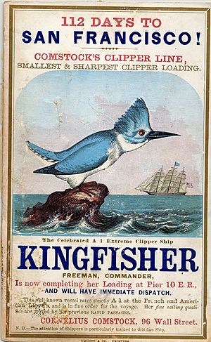 Archivo:KINGFISHER (Ship) (c112-01-52)