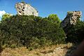 La Riera de Gaià - Castell de Santa Margarida 2