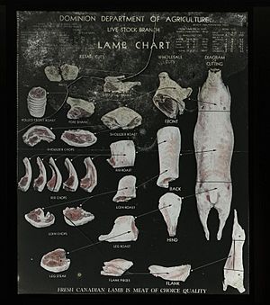 Archivo:Lamb Chart (22411636159)