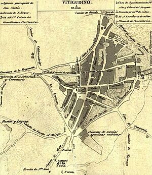 Archivo:Mapa de Vitigudino, 1867, por Francisco Coello (cropped)
