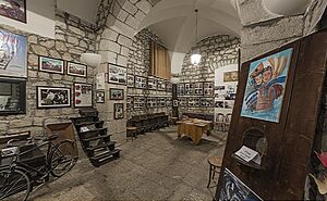 Archivo:Museo Cinema 1