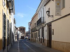 Museo del Queso Manchego - 48776519563