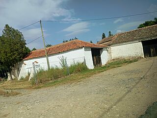 Parral de Villovela.jpg