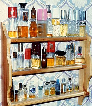 Archivo:Perfume shelf 536pix