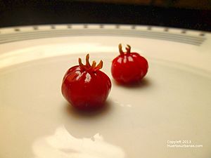 Archivo:Pitanga roja eugenia uniflora red huertasurbanas