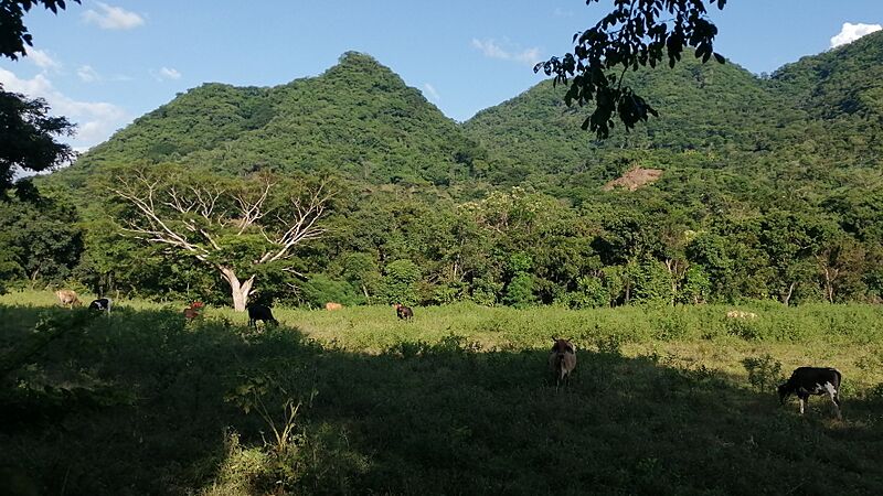 Potrero