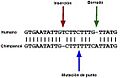 Pseudogenees