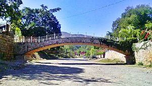 Puente en la aduana sonora.jpg