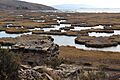 Qala Uta o Casa de Piedra Qiwaya por Alicia Olivera