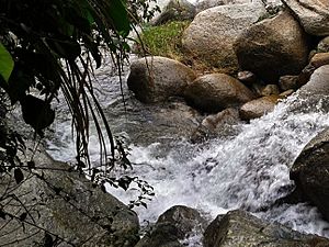 Archivo:Quebrada El Barro, Santa Rosa de Osos