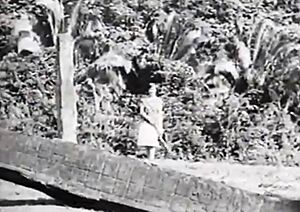 Archivo:Quirigua3