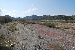 Archivo:Rambla de Béjar 4