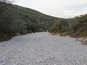 Archivo:Rambla de La Morellana-La Valltorta