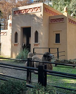 Archivo:Recinto camello