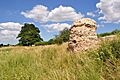 Remaining Bastion at Venta Icenorum - geograph.org.uk - 1956034