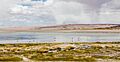 Salar de Tara, Chile, 2016-02-07, DD 81