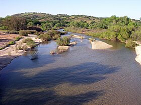 Archivo:San Antonio River 1