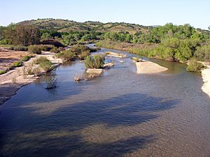 Archivo:San Antonio River 1
