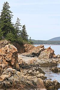 Sutton island coast.jpg