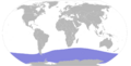 Thalassoica antarctica map