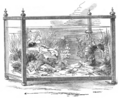 The Marine Aquarium (Calvert)