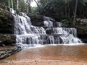 Archivo:Tupasyykua