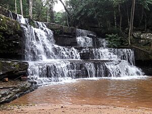 Archivo:Tupasyykua