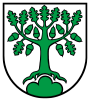 Wappen Bergdietikon.svg