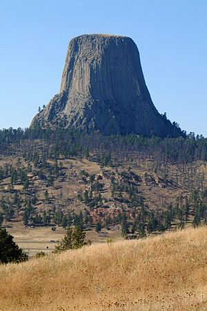 Archivo:A Yool DevilsTower 04Sep03
