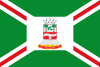 Bandeira de Barra do Bugres - MT.svg
