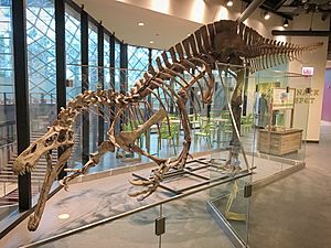 Archivo:CCM Suchomimus 2018