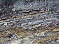 Carpathian flysch cm04