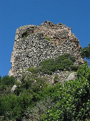 Archivo:Castello Gioiosaguardia