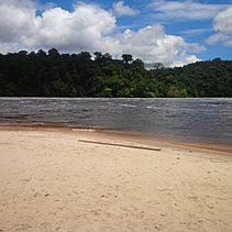Archivo:Caura National Park Guayana Region Venezuela 1
