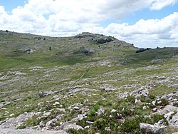 Archivo:Cerro de las Ánimas - panoramio